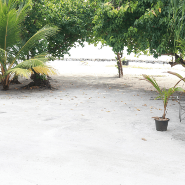 Untitled design - 2025-06-27T135856.613